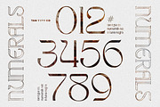 TAN - LUNA NEGRA, a Serif Font by TanType (Thumbnail 9 of 16)