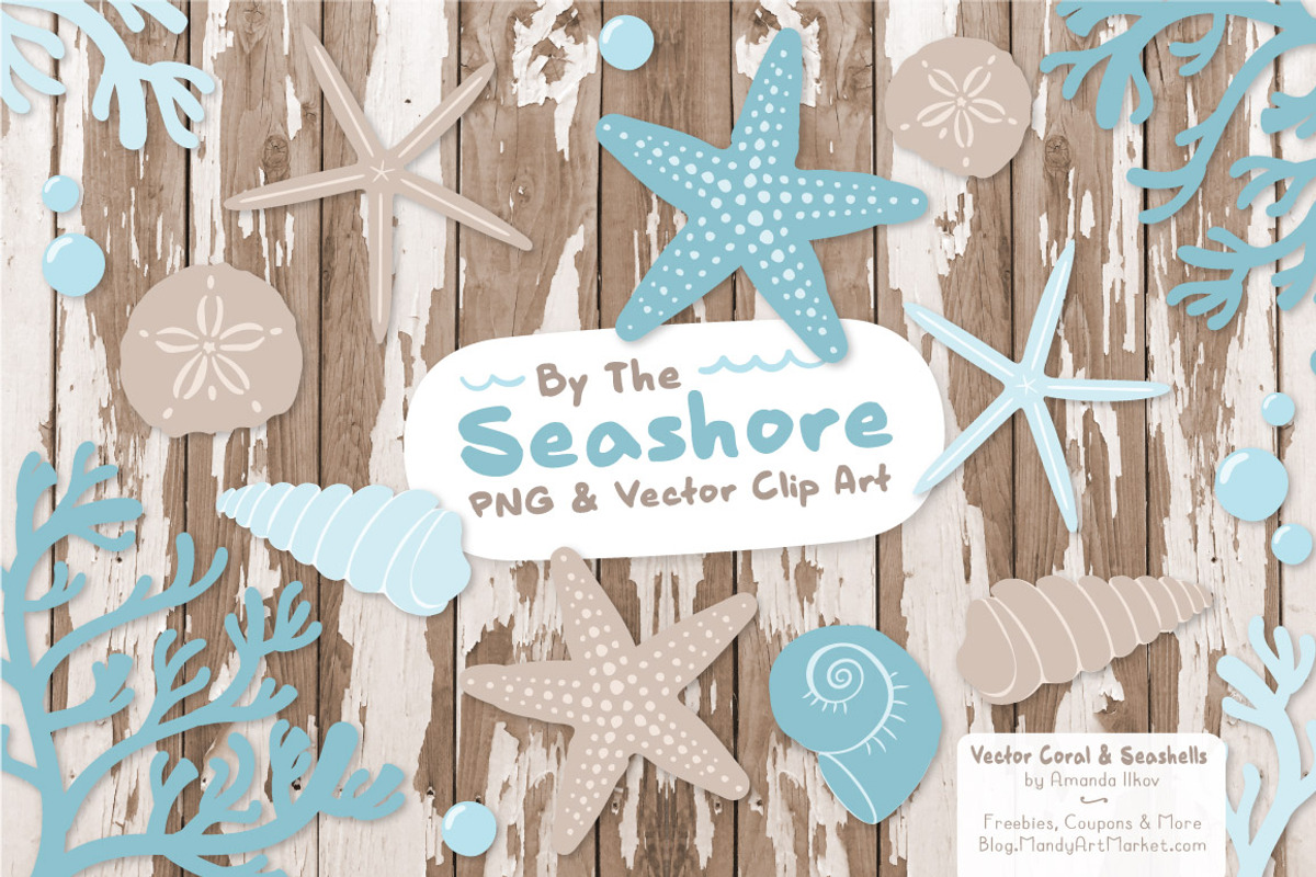 Soft Blue Vector Seashells, an Illustration by Amanda Ilkov (Photo 2 of 5)