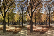 15 Aesthetic Fall Lightroom Presets, a Preset Add-On by TheWayfarerShoppe (Thumbnail 5 of 8)
