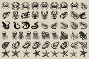 340 Sea Creatures illustrations, an Animal Illustration by Nocturnal Wolf (Thumbnail 9 of 15)