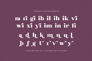 Milka Elegant Serif Font, a Serif Font by Elegant Font (Thumbnail 8 of 8)
