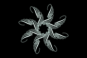 Procreate Calligraphy Flourish Stamp, a Brush Add-On by An Inkling Of Curry (Thumbnail 4 of 4)