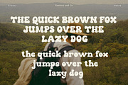The Bouns, a Script Font by Flawless And Co (Thumbnail 7 of 11)