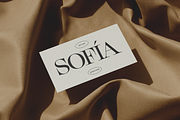 Miles - Elegant Serif, a Serif Font by Thunder Studio (Thumbnail 2 of 7)