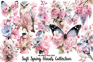 Soft Spring Florals Collection, an Illustration by Designworld