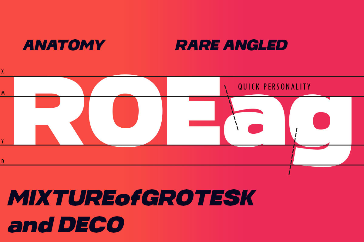 BS Quintera, a Sans Serif Font by Black Studio (Photo 5 of 12)