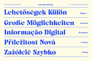 Gattino Spazio - Bold Serif Typeface, a Serif Font by Mbonster Design Studio (Thumbnail 16 of 20)