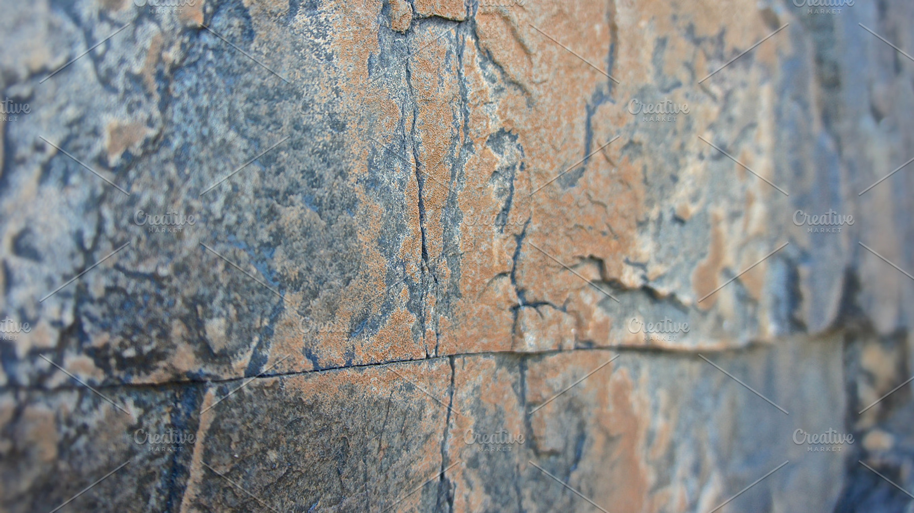 Red Stone Lichen