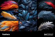 Feathers. 54 images, an Animal Illustration by Handmadefont (Thumbnail 6 of 12)