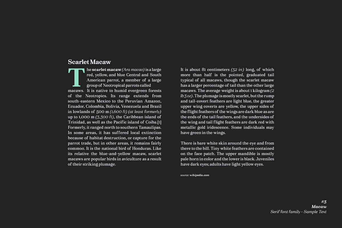 Macaw - Serif Typeface, a Serif Font by Unio Designs (Photo 3 of 11)