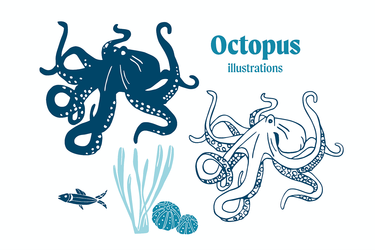 Octopus (Kraken) vector illustration, an Animal Illustration by Annakaroline