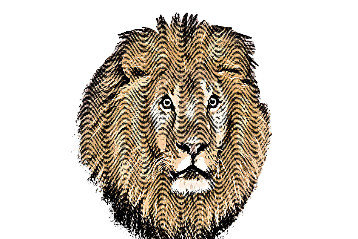 Engraved Art Effect, an Action Add-On by MRI STUDIO (Photo 14 of 15)