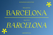 Eleyna Rough, a Serif Font by Craft Supply Co. (Thumbnail 3 of 8)