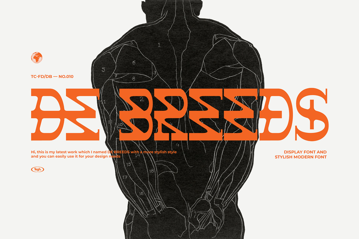 DE BREEDS, a Font by Tegh co. (Photo 1 of 15)