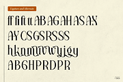 Raxiael | Modern Classic Serif, a Serif Font by Denustudios (Thumbnail 16 of 16)