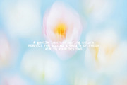 30 Soft Blurred Florals Backgrounds, a Background Graphic by lerinartstudio (Thumbnail 5 of 13)