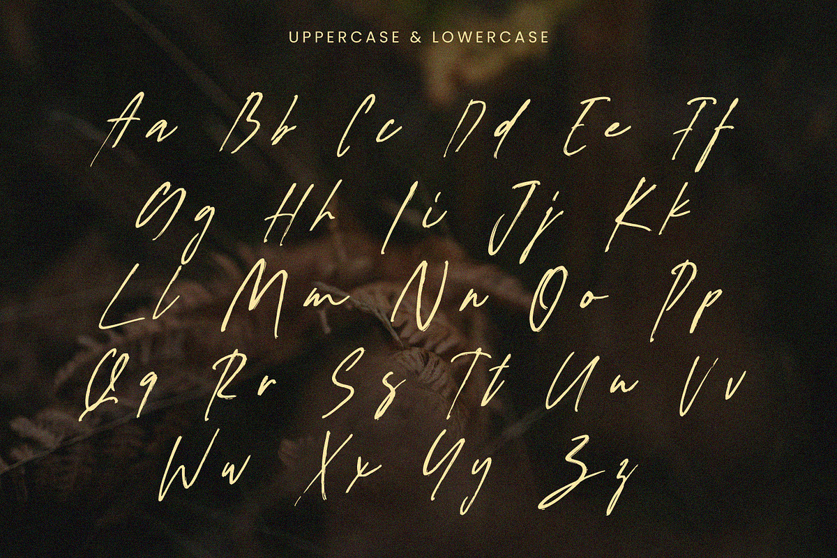 Figuea Granatae - Handwritten Script, a Script Font by Randi Irvan | Rvandtype (Photo 10 of 12)