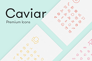 Caviar - Premium Minimal Line Icons, an Outline Icon by WL (Thumbnail 1 of 11)