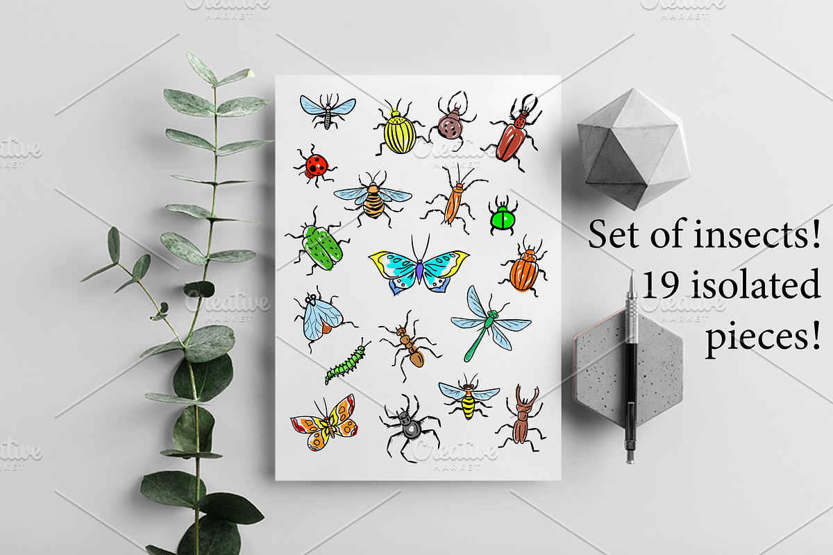 Set of insects, an Animal Illustration by IPVector (Photo 1 of 6)