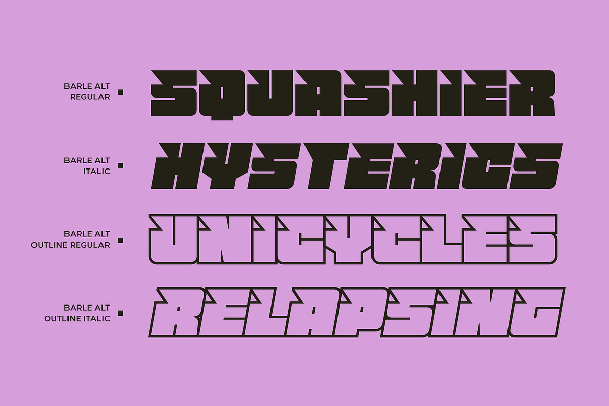 Barle Alt, a Sans Serif Font by Locomotype (Photo 9 of 10)