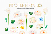 White Flowers watercolor collection, a Decorative Illustration by Volha Studio (Thumbnail 7 of 9)