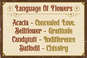 Christon Hunington Vintage Font, a Serif Font by HansCo Studio (Thumbnail 3 of 13)