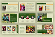 Keynote - Agrogreen Plantation, a Presentation Template by Yolk Vibes (Thumbnail 4 of 9)