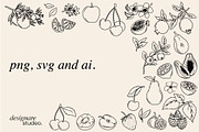 Minimalist Fruits Illustrations PACK, a Decorative Illustration by ginni illustrations (Thumbnail 5 of 6)