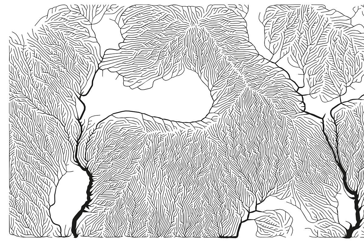 Growth - 50 Backgrounds, a Texture Graphic by GarryKillian (Photo 48 of 51)