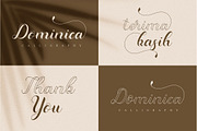 Dominica Calligraphy Script, a Script Font by Idea Studio (Thumbnail 12 of 12)
