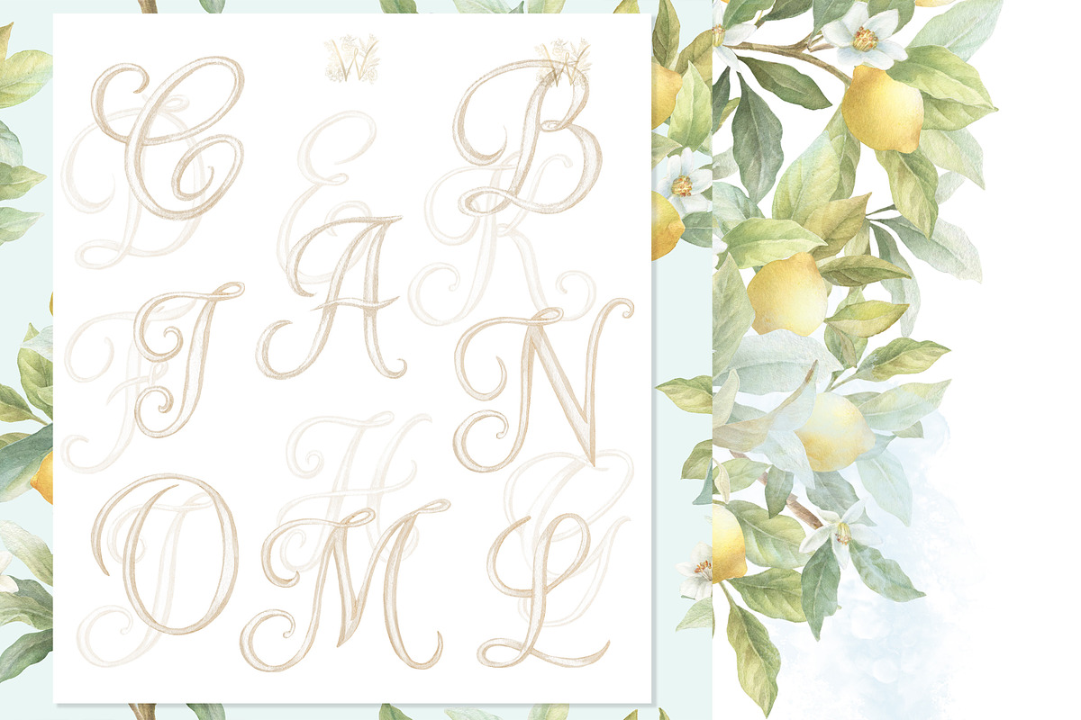 Vintage Lemon Floral Frames bundle, a Decorative Illustration by WonderWonder (Photo 8 of 10)