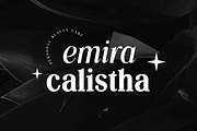 Silvex Editorial Serif Family Font, a Serif Font by UICreative (Thumbnail 4 of 13)