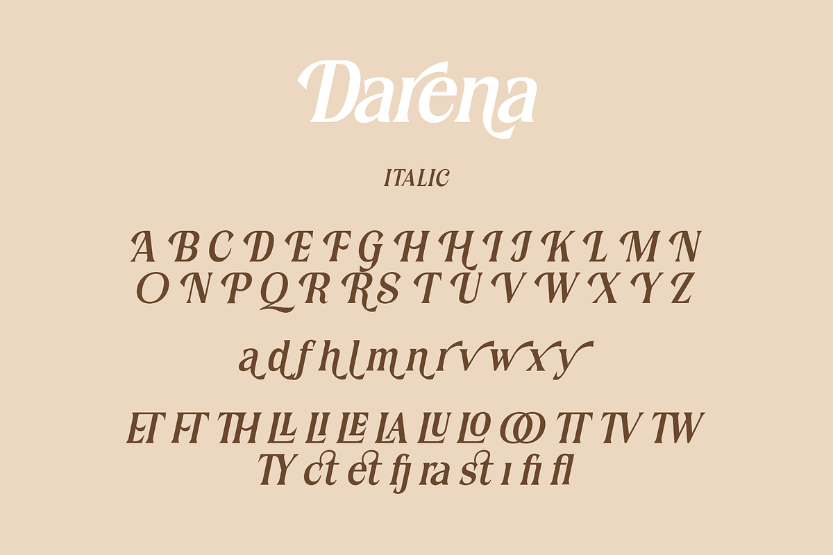 Darena - Serif Display Font, a Serif Font by overlaytemplates (Photo 5 of 8)