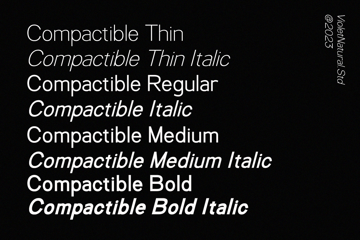 Compactible | Sans Typeface, a Sans Serif Font by Violet Natural (Photo 6 of 11)
