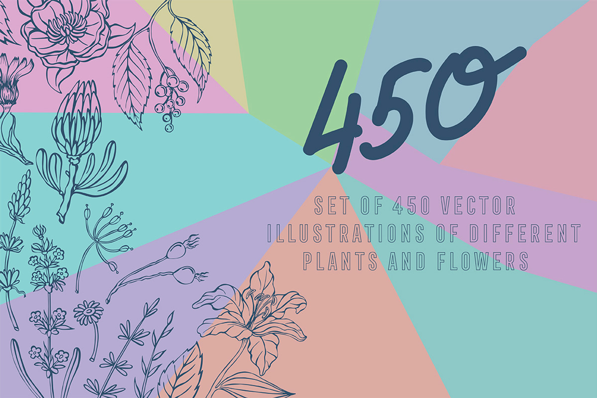 Vector plants and flowers, an Illustration by risovanya (Photo 1 of 5)
