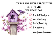 Spring Bird House Clipart, an Illustration by OK Design (Thumbnail 4 of 6)