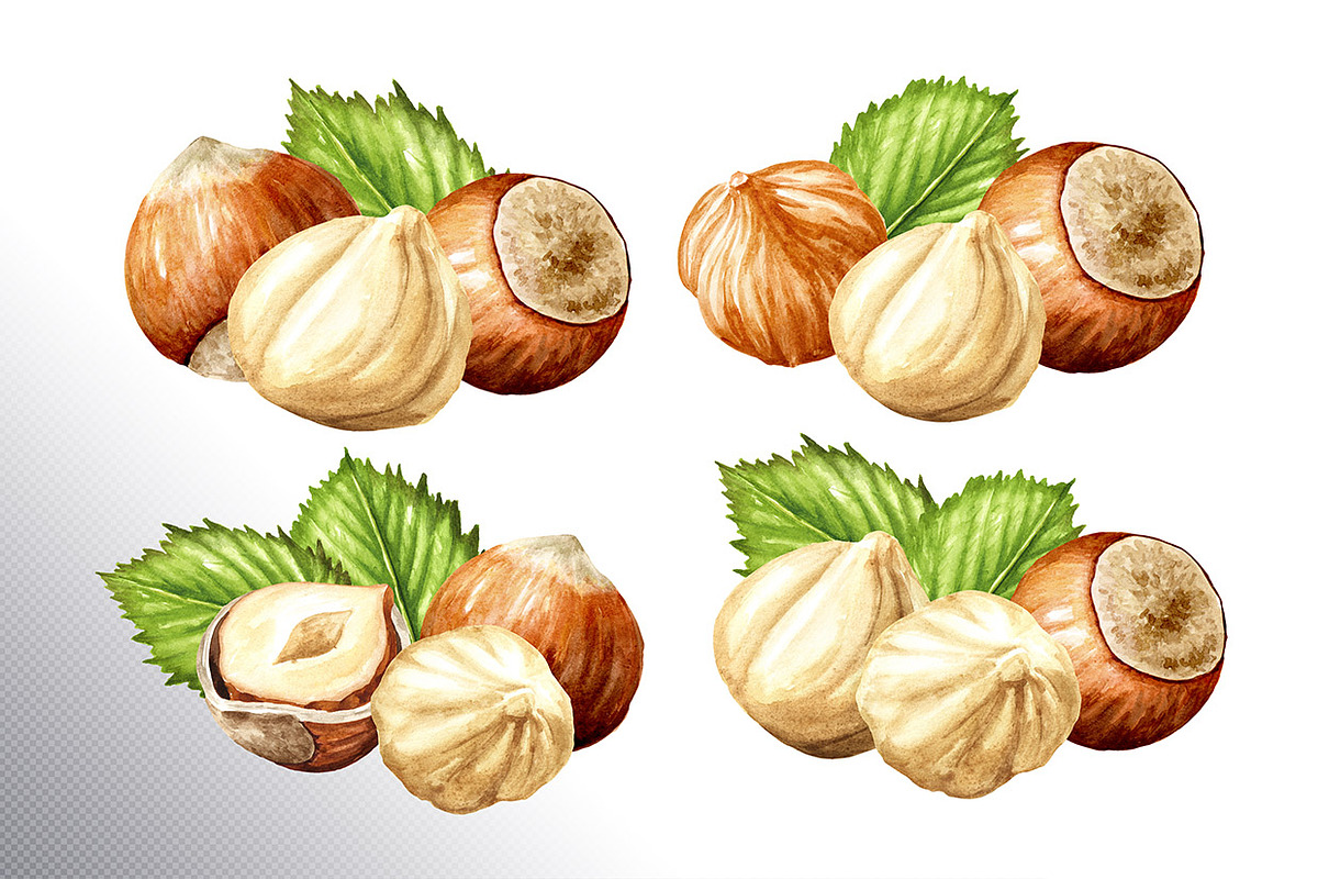 Huzelnuts. Watercolor collection, a Food Illustration by Daria Ustiugova (Photo 2 of 23)