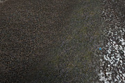AUTUMN AND WINTER TEXTURE PACK, a Textures & Material 3D Model by Beatheart Creative Studio (Thumbnail 45 of 58)