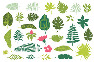 Tropical Leaves