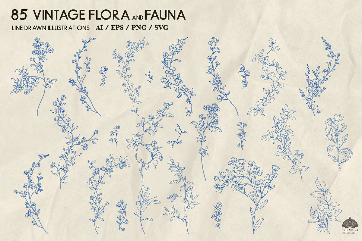 Vintage Flora and Fauna + Procreate, a Decorative Illustration by Skliarova (Photo 3 of 5)