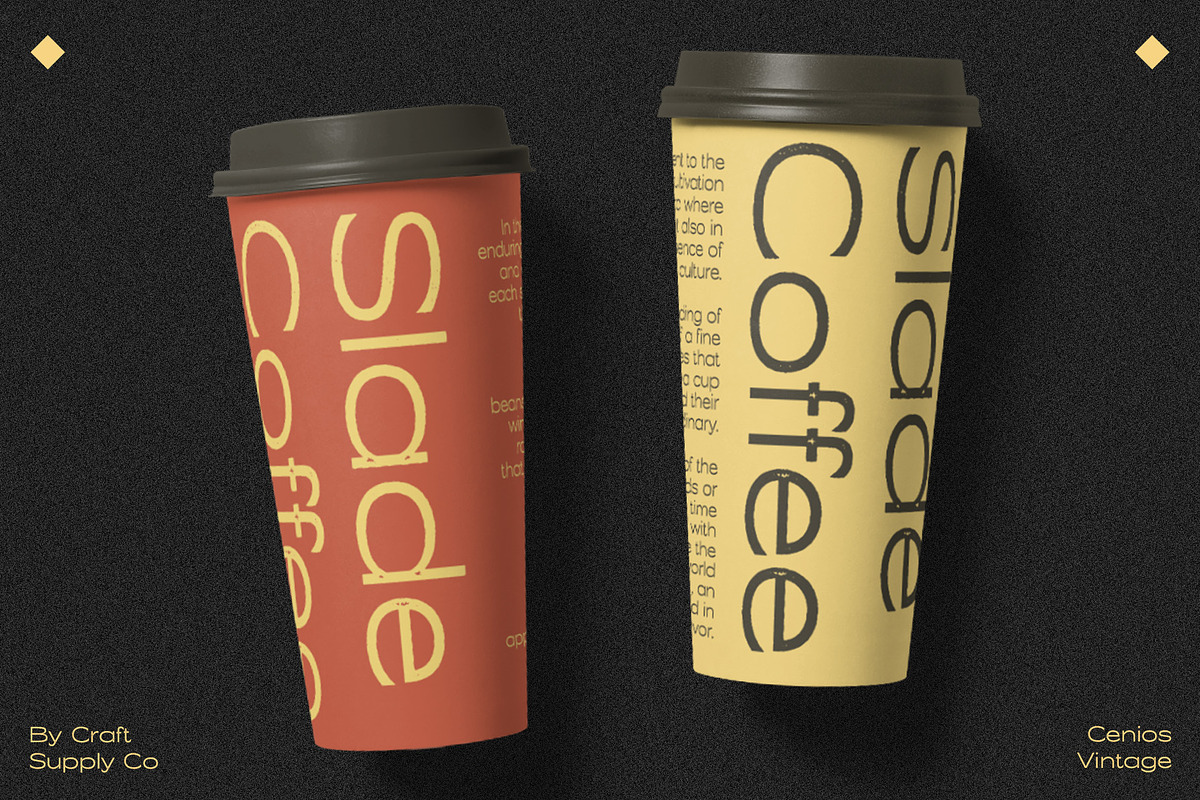 Cenios Vintage, a Sans Serif Font by Craft Supply Co. (Photo 4 of 8)