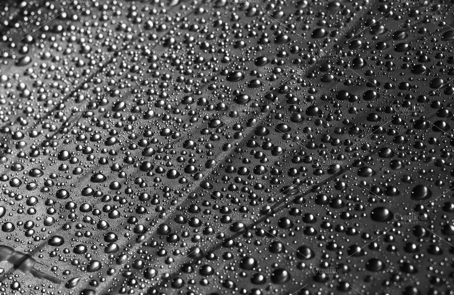 Water drops stock photo containing drops and water, an Abstract Photo by VS