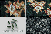 Tropical Essence. Photo bundle, a Wallpaper Graphic by EYWA ART (Thumbnail 4 of 8)