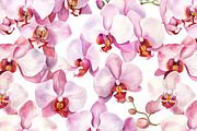 Orchids flower pattern and elements, a Decorative Illustration by irina.vaneeva (Thumbnail 2 of 6)
