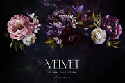 Velvet Peony Moody Floral Graphics, an Object Illustration by Eclectic Anthology (Thumbnail 5 of 16)