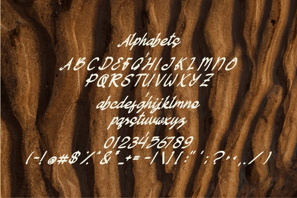 Castrolina Font, a Script Font by ponuppo (Photo 4 of 4)
