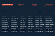 Cavellis, a Serif Font by Zane Studio (Thumbnail 3 of 10)