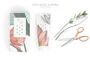 Nelumbo, Luxury Pattern & Motifs, a Pattern Graphic by TSTUDIO (Thumbnail 4 of 9)