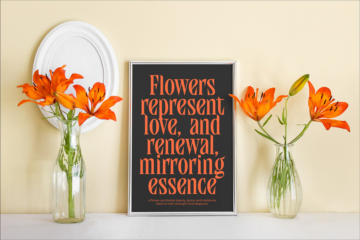 Qandera Modern Display Serif, a Serif Font by timelesstype.co (Photo 5 of 15)