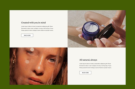 Shopify Section: Text & Image/Video